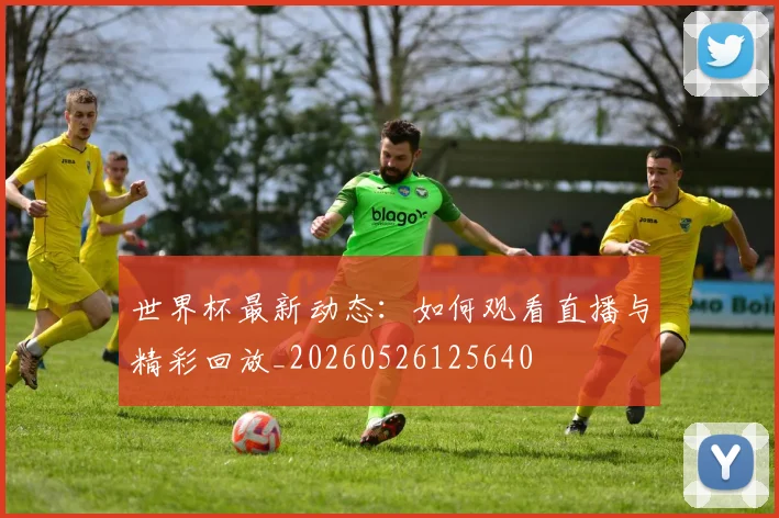 世界杯最新动态:如何观看直播与精彩回放_20260526125640