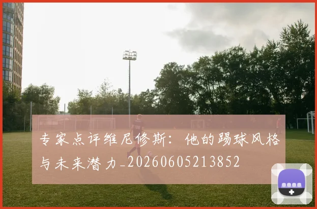 专家点评维尼修斯:他的踢球风格与未来潜力_20260605213852