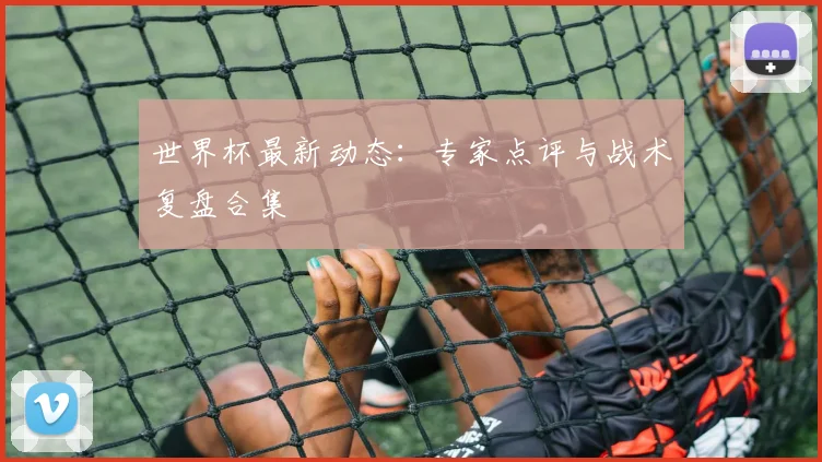 世界杯最新动态：专家点评与战术复盘合集