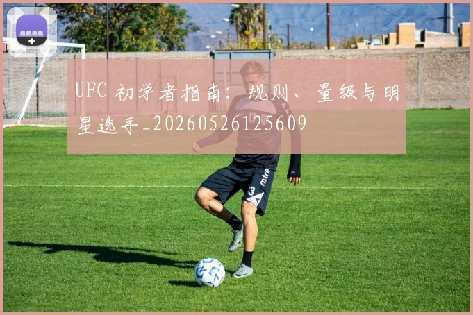 UFC 初学者指南:规则、量级与明星选手_20260526125609