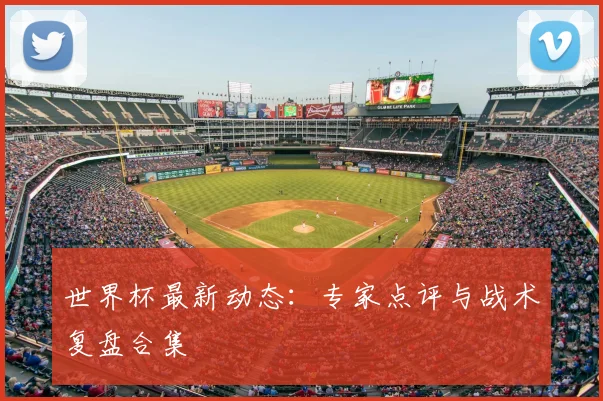 世界杯最新动态：专家点评与战术复盘合集