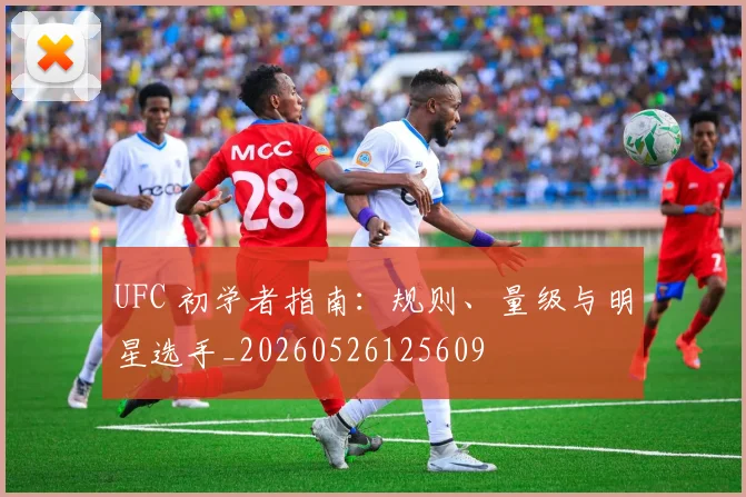 UFC 初学者指南：规则、量级与明星选手_20260526125609